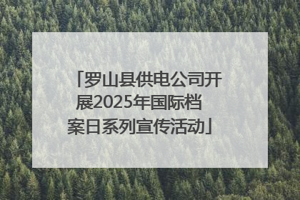 罗山县供电公司开展2025年国际档案日系列宣传活动
